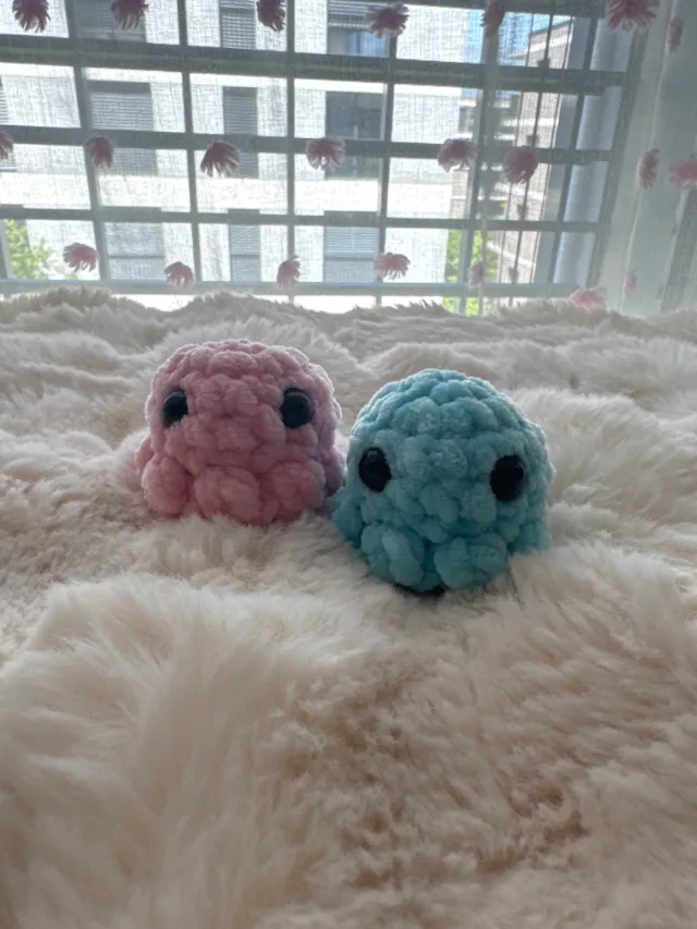Mini poulpe