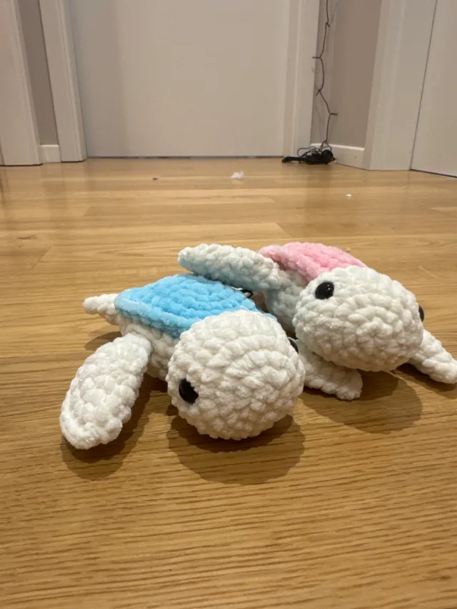 Tortue