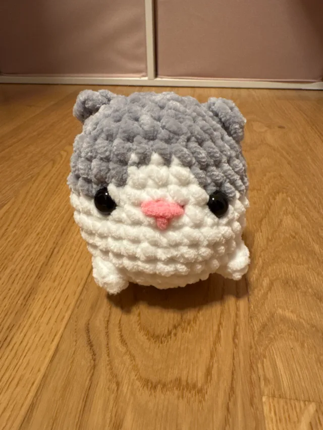 Petit chat